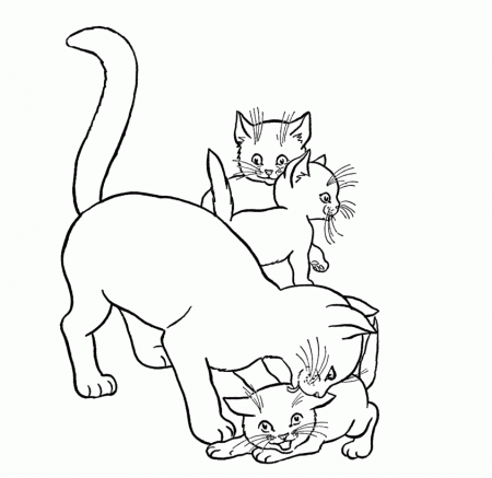 Cute Baby Cats Coloring Pages Animal Pictures