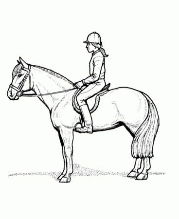 learning years animal coloring pages horse and rider