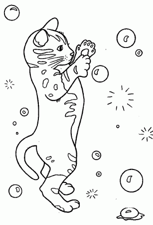 Kitten 12 Kittens Coloring Pages