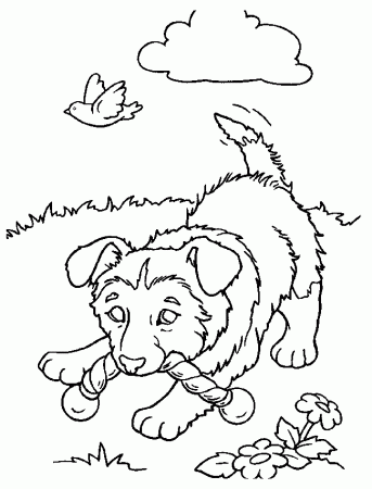 Dog Coloring Pages | Coloring Dog | Free Coloring