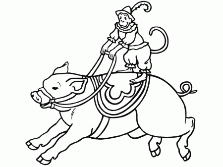 Circus 16 Animals Coloring Pages & Coloring Book