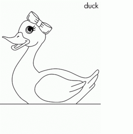 colours drawing wallpaper: Best Birds Duck Colour Drawing HD Wallpaper
