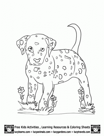 looks real puppy Colouring Pages