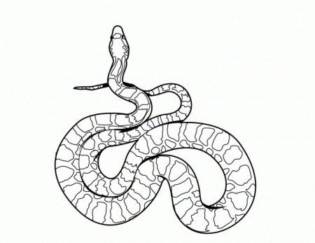 Rattlesnake Coloring Page - HD Printable Coloring Pages