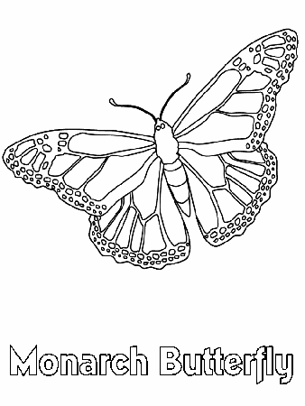 butterfly-coloring-pages-free-printable-coloring-worksheets (2 