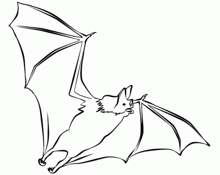 Halloween Bat Coloring Pages - Wallpapers and Images | Wallpapers 