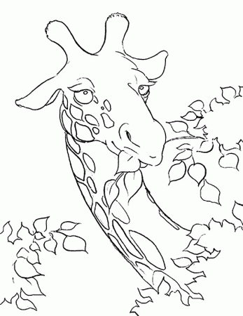 Giraffe's Head Coloring Page | Kids Coloring Page