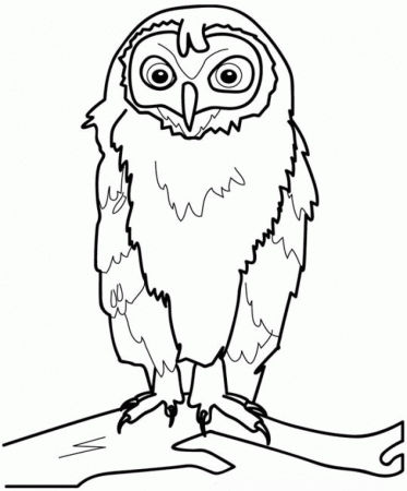 Easy Owl Coloring Pages - Kids Colouring Pages