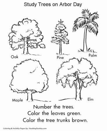 Arbor Day Coloring Pages - Tree Identification Coloring Pages |  HonkingDonkey