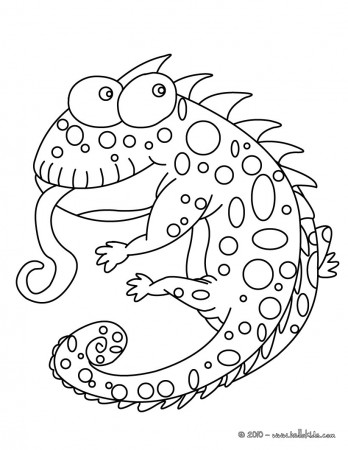 Funny chameleon coloring pages - Hellokids.com