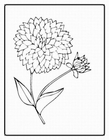 Be Flower Coloring Pages Realistic Fans Share Images 155000 