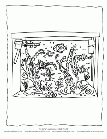 Marine Aquarium Coloring Pages, Aquarium Coloring Pages Tropical Fish