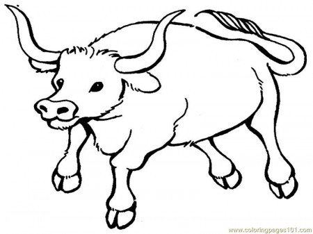 Bull Coloring Page - Coloring Pages for Kids and for Adults