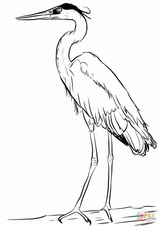 Great Blue Heron coloring page | Free Printable Coloring Pages