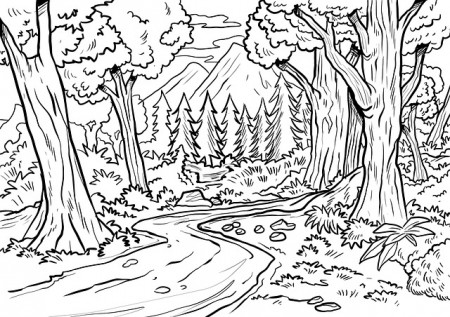 Free photo Coloring Picture Trees Forest Drawing Nature - Max Pixel