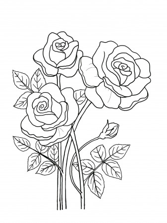 Printable Floral Coloring Sheets Coloring Pages Adult - Etsy