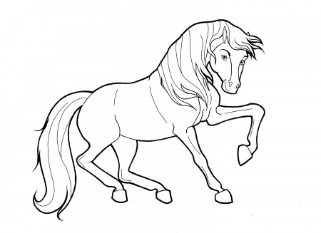 Printable Color Pages of Horses | Activity Shelter