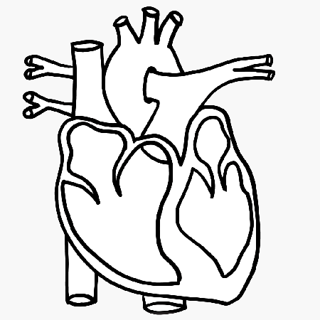 Heart Clipart -