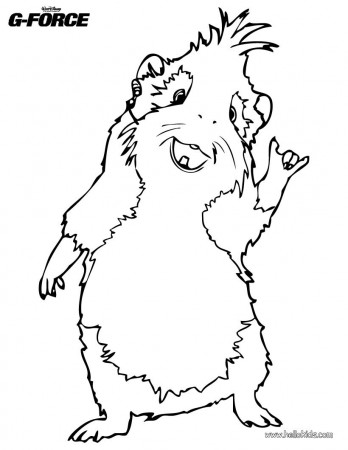 GUINEA PIG COLORING PICTURE « Free Coloring Pages