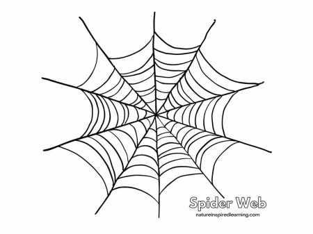 Spider Web Coloring Pages - Nature ...