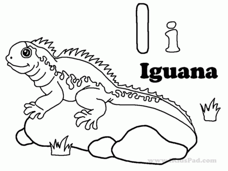 Iguana Coloring Page For Kids Printable Coloring Sheet 99Coloring 