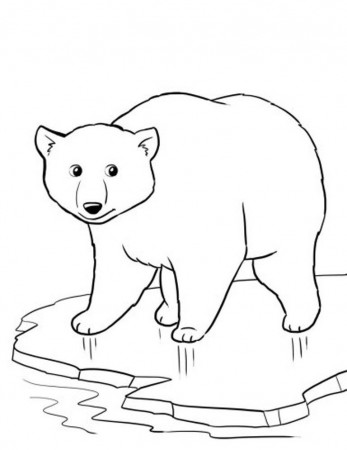 coloringpages animals bear polar coloring pages - Quoteko.com