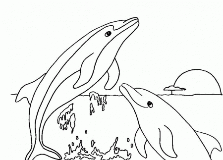 Pictures Of Dolphins To Colour In | Animal Coloring Pages | Kids 