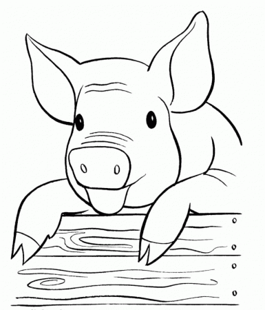 Animal Coloring Pages : Pigs Lay Coloring Page Kids Coloring Art
