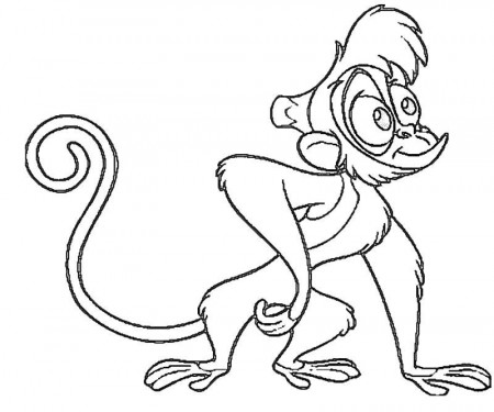 Abu Monkey | Nintendo Wee