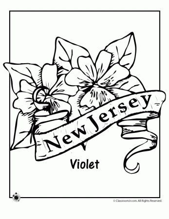 New Jersey State Flower Coloring Page | Classroom Jr.