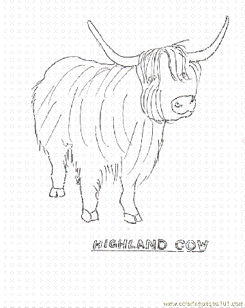 Highland Cow Colouring Pages
