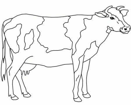 big Cow Coloring Pages for kids | Best Coloring Pages