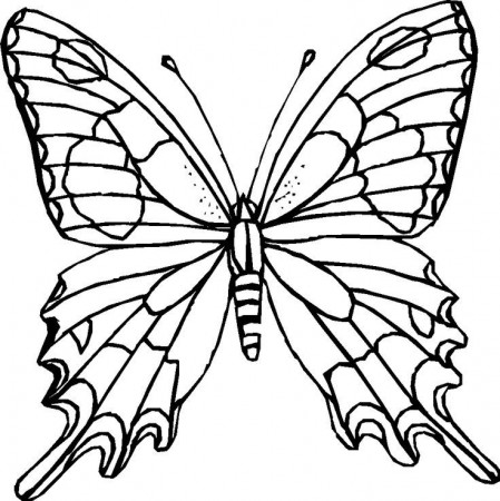 hard butterfly sheets Colouring Pages