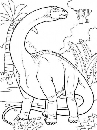 Animal Dinosaurs Brontosaurus Colouring Sheets Free Printable For 