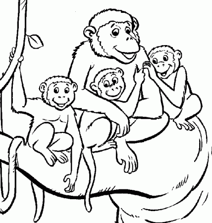 vervet monkey Colouring Pages