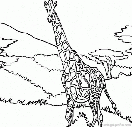 Giraffe Coloring Pages 27 | Free Printable Coloring Pages 
