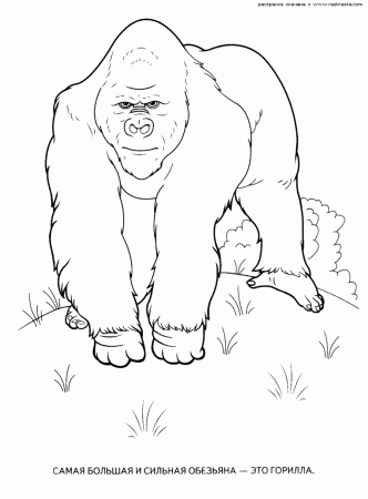 printable santa clous coloring pages