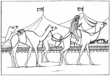 Camels.png - Egypt Coloring Pages - ColoringBookFun.com - Free 