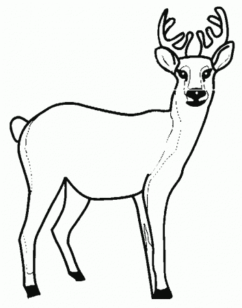 Animals Deer print coloring pages. 1