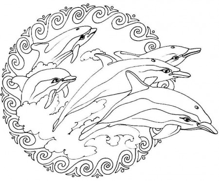 winter ws sports coloring pages book