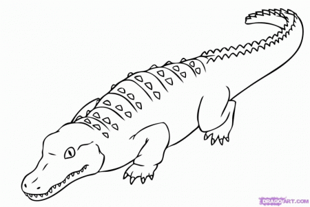 Standing Big Crocodile Coloring Page Coloringplus 157476 Crocodile 