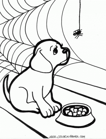 Drawings Of Puppies Drawing And Coloring For Kids 194503 Coloring 