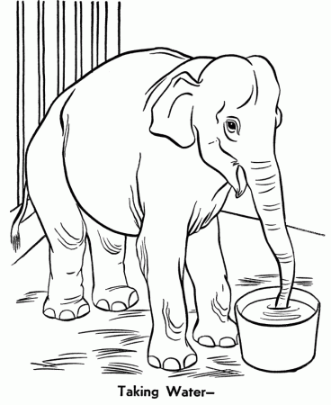 Zoo Coloring Pages | Coloring Kids