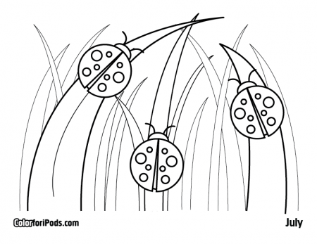 Lady Bug Coloring Page - Coloring For KidsColoring For Kids