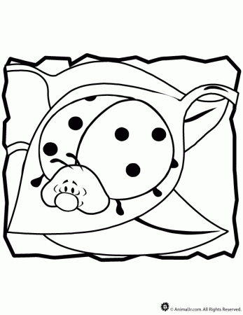 coloring pages ladybug – 612×792 Download Free Wallpaper 