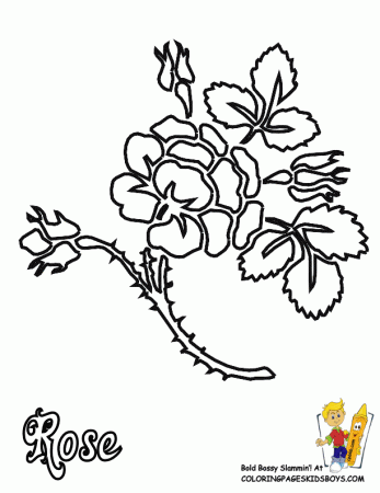 Flowers coloring pages roses free rose flower rose coloring - Buubi.