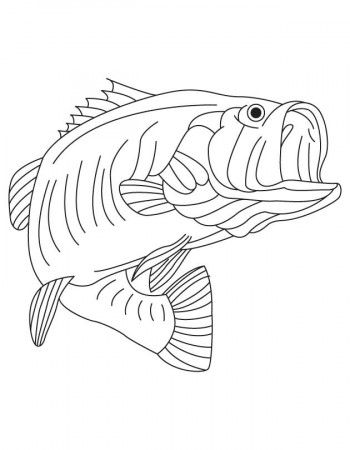 Largemouth Bass Coloring Page