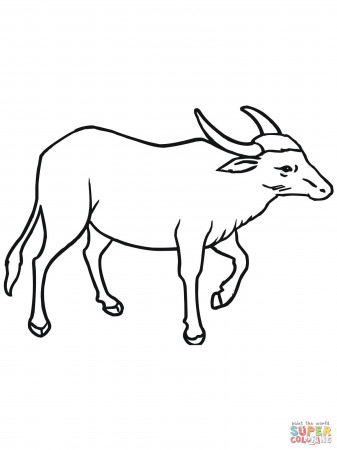 Buffalo coloring pages | Free Coloring Pages