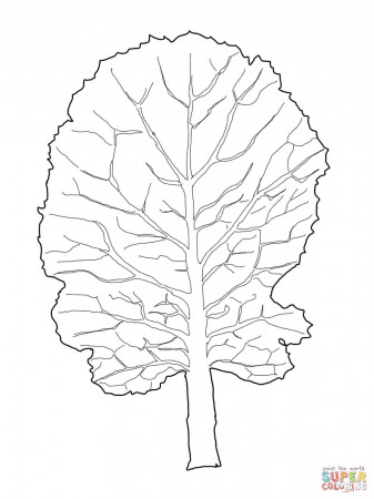Collard Greens Leaf coloring page | Free Printable Coloring Pages