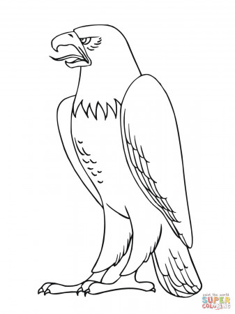 Bald Eagle from Alaska coloring page | Free Printable Coloring Pages